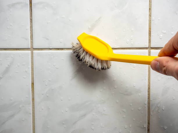 Best Mold Testing  in Coatesville, PA