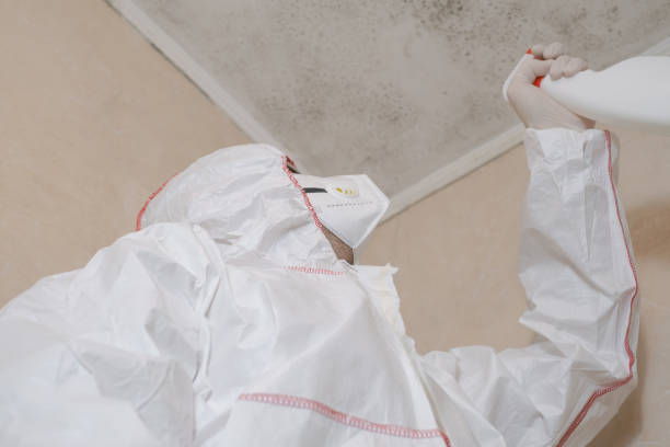 Best Fast Mold Removal  in Coatesville, PA